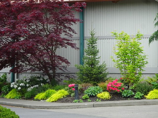41507298015_4513b4c956_n.jpg