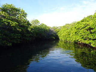 28178911108_5cde9ce230_n.jpg