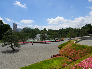 41655132235_778f008a42_n.jpg