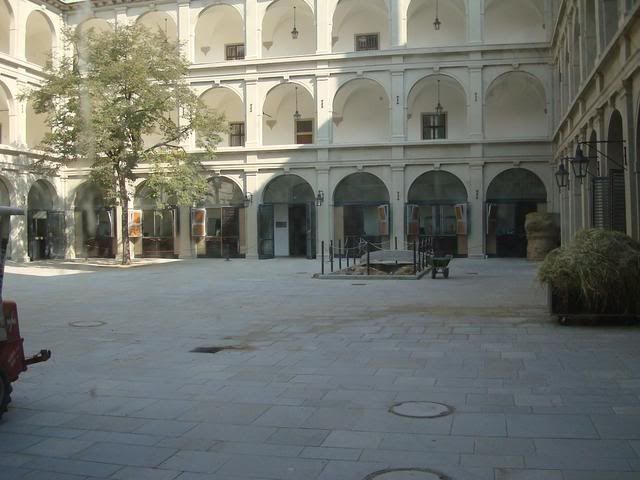 DSC00685.jpg