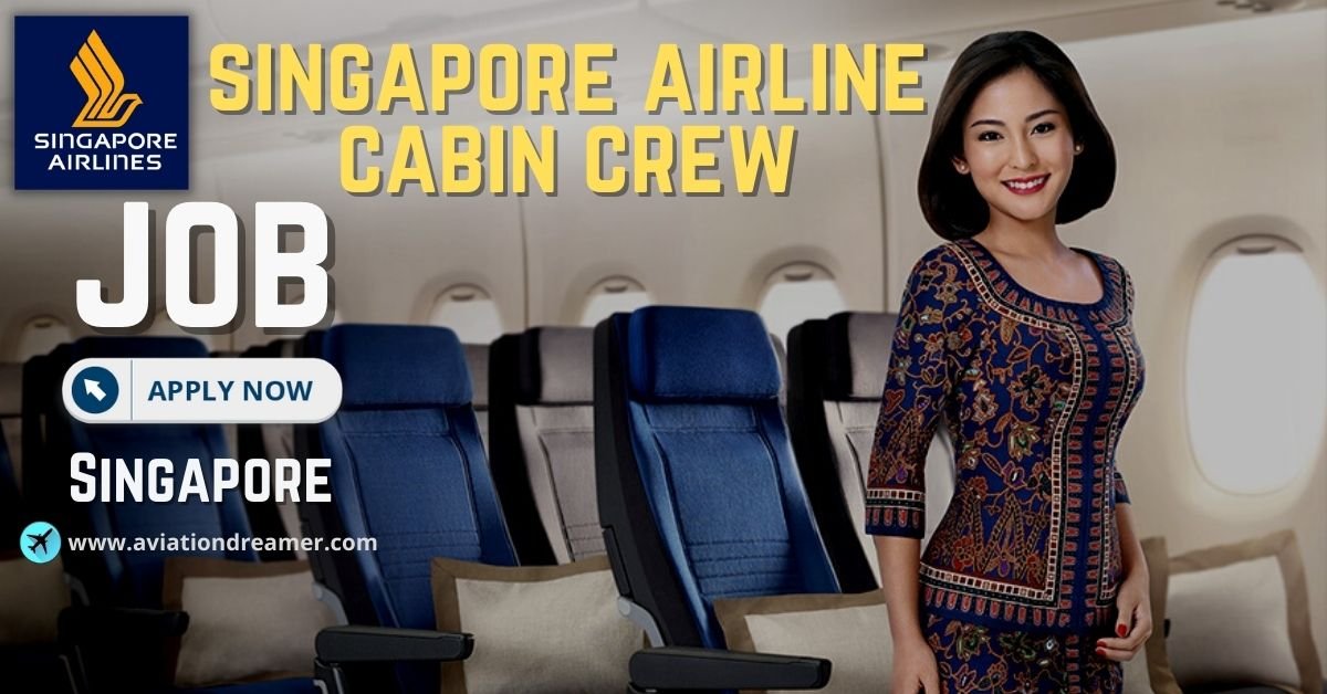 aviationdreamer.com