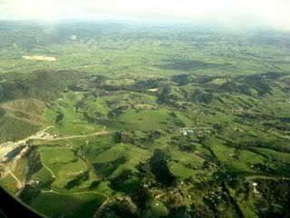 Green.jpg