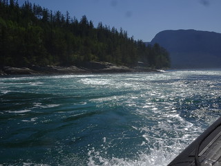 42535206311_1b58613070_n.jpg
