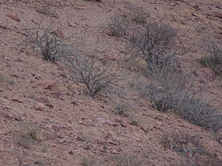40200662980_6a895d4e0d_n.jpg