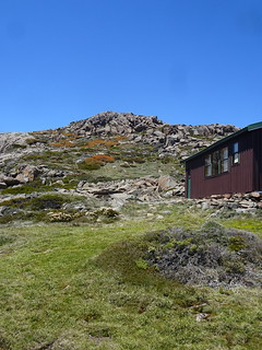 32842845968_752902fe90_n.jpg
