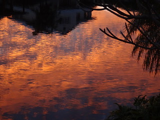 46575964745_6b03f2c03c_n.jpg