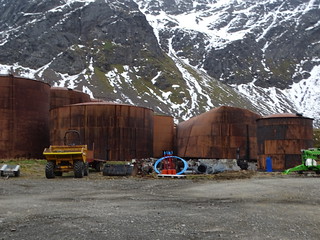 33223131764_7f2f1a5448_n.jpg