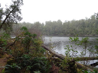 38955910360_3490426f99_n.jpg