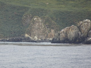 33541270542_7c8e7f1688_n.jpg