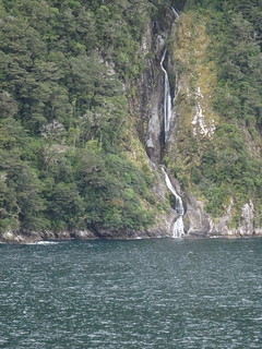 47055588401_d483b32c98_n.jpg