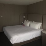 crowne-plaza-hotel-denver.jpg