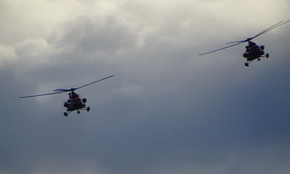 33257599360_31c9c16ba3_n.jpg