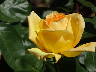 45493475301_803cc651da_n.jpg