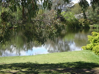 45211769894_fc56c66e87_n.jpg