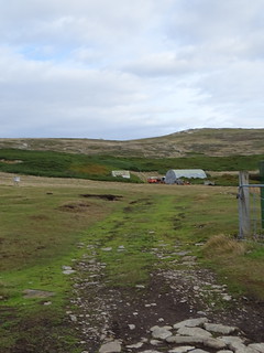 33620699066_b485de3c24_n.jpg