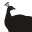 www.baraofladgate.com