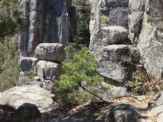 41164129055_87873fe93e_n.jpg