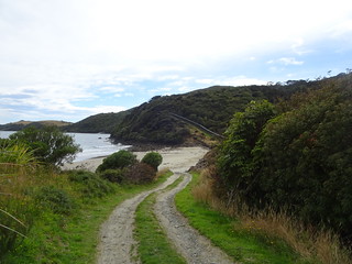32155965317_04e4658cf2_n.jpg
