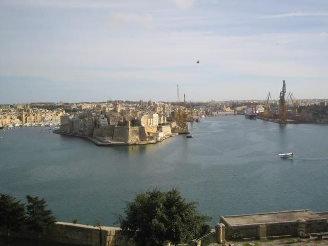 IMG_3529.jpg