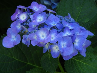 32303716347_33b7a6da32_n.jpg