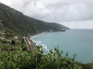 IMG_7583.jpg