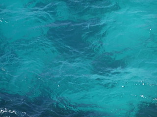37200610421_62943fc984_n.jpg