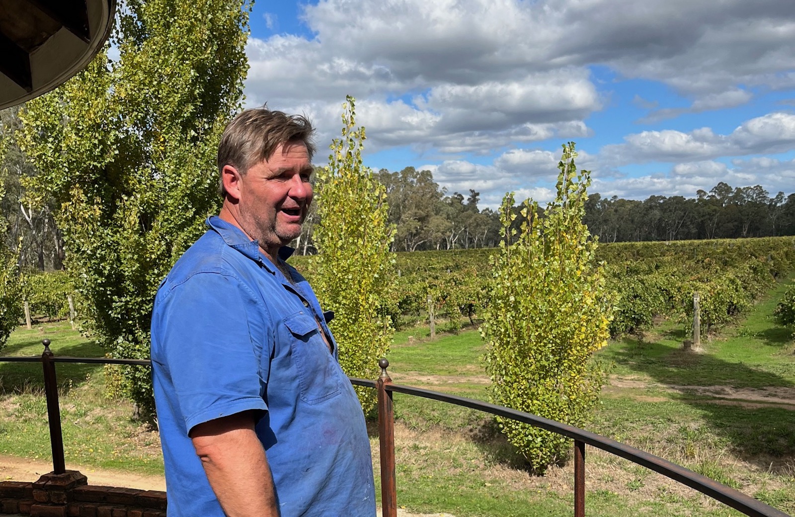 winefolio.co.nz