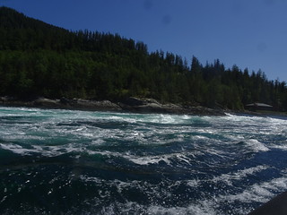41812339494_592edd7142_n.jpg