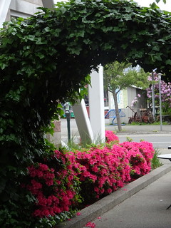 41507302535_9c08f18b39_n.jpg