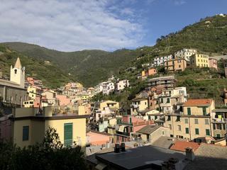 IMG_7147.jpg