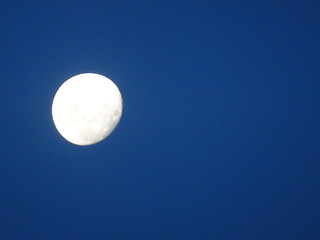 33381015113_3edefbef76_n.jpg