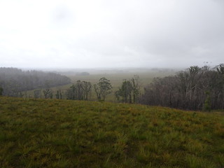 40765968761_a0a8779821_n.jpg