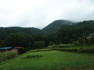 44643283802_5ac2e62781_n.jpg