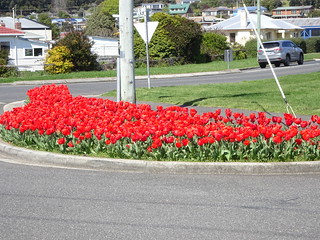 37500171986_4fffd67872_n.jpg