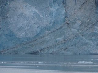 33700354985_a664280806_n.jpg