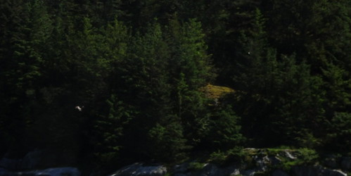 42483277452_2da4aefc04.jpg