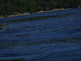 41632980625_11e1f23f7d_n.jpg