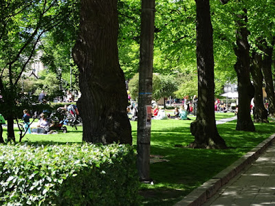 DSC01771.JPG