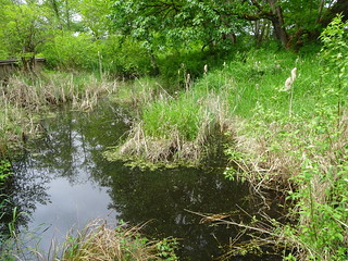 41507255825_a4ee167081_n.jpg