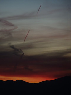 38446576645_90d60a9a61_n.jpg