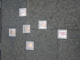 39100345751_a98de9833e_n.jpg