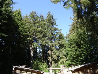 41633954694_fd4349e75c_n.jpg
