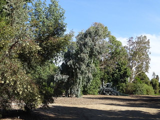 30558320633_aba5c52123_n.jpg