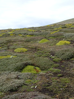33277583240_ef063048ae_n.jpg