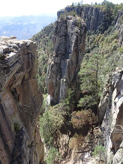 41344455894_74d6ab4423_n.jpg