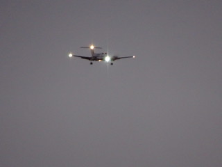 35354406352_612ea45040_n.jpg