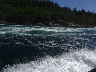 28661801408_1517cf3aa6_n.jpg