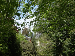 26381724899_9b72483707_n.jpg