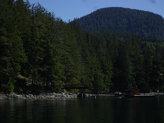 42535217471_e11e2836d4_n.jpg