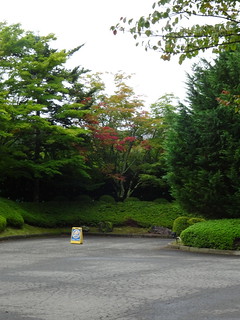 44753075242_da0a2d8bc0_n.jpg